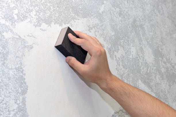 Best Industrial Mold Remediation  in Frazee, MN