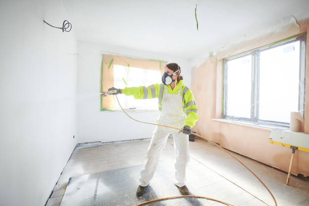 Professional Mold Removal in Frazee, MN