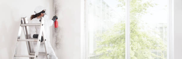 Dehumidification Services in Frazee, MN